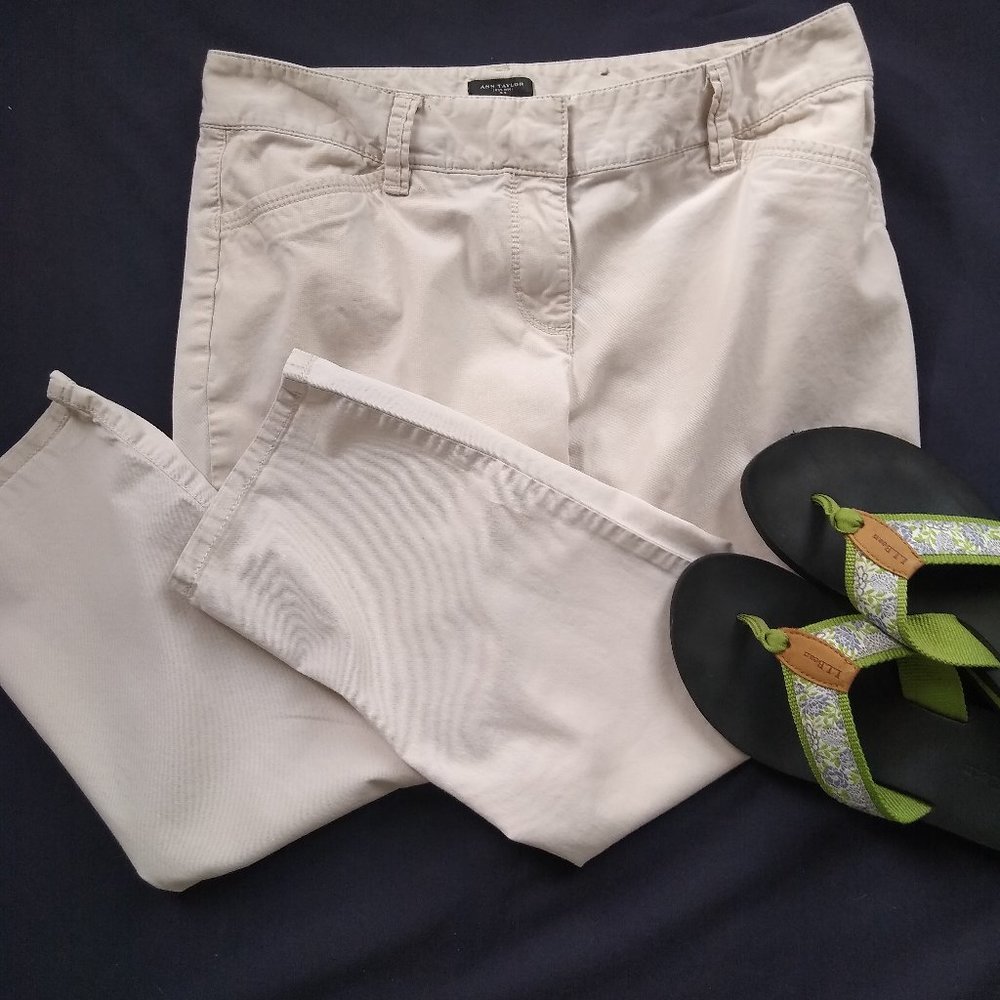 Ann Taylor Signature Capri Pants